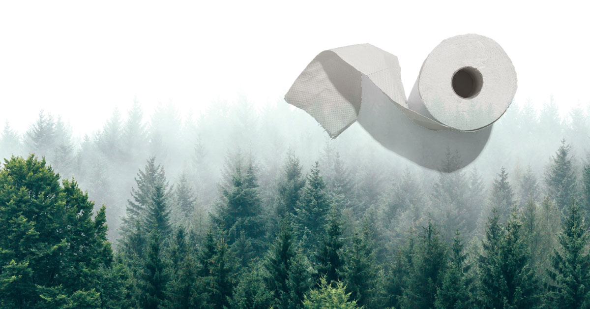 A roll of toilet paper flies over misty pine forests